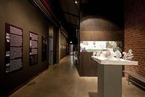 Entry Space & Research Gallary